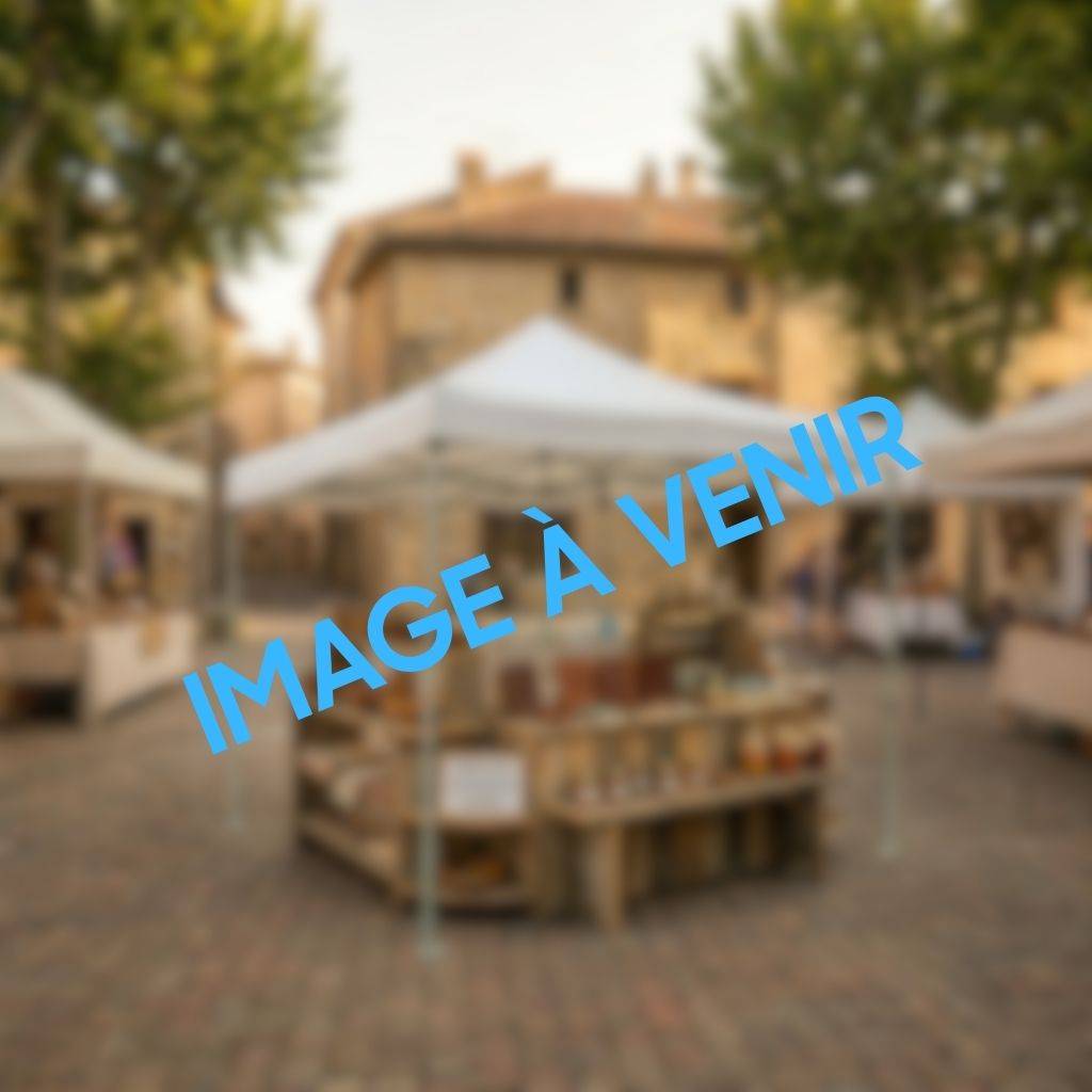 Location de tente 4 x 4m pour particuliers installation facile à Lyon, Blacé ou Saint-Forgeux