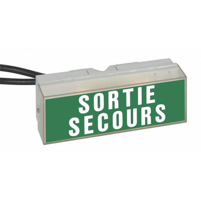 Location sortie de secours pour événement à Lyon